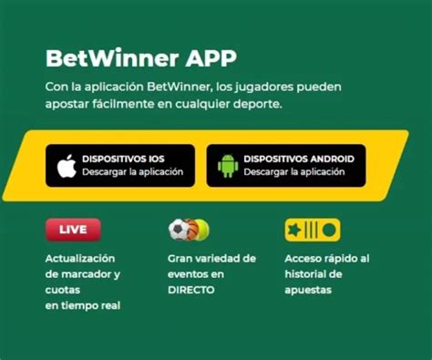 BetWinner Mexico .